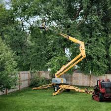 Best Utility Line Clearance  in Westport, WA