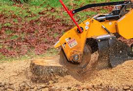 Lawn Pest Prevention in Westport, WA