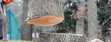 Best Arborist Consultation Services  in Westport, WA